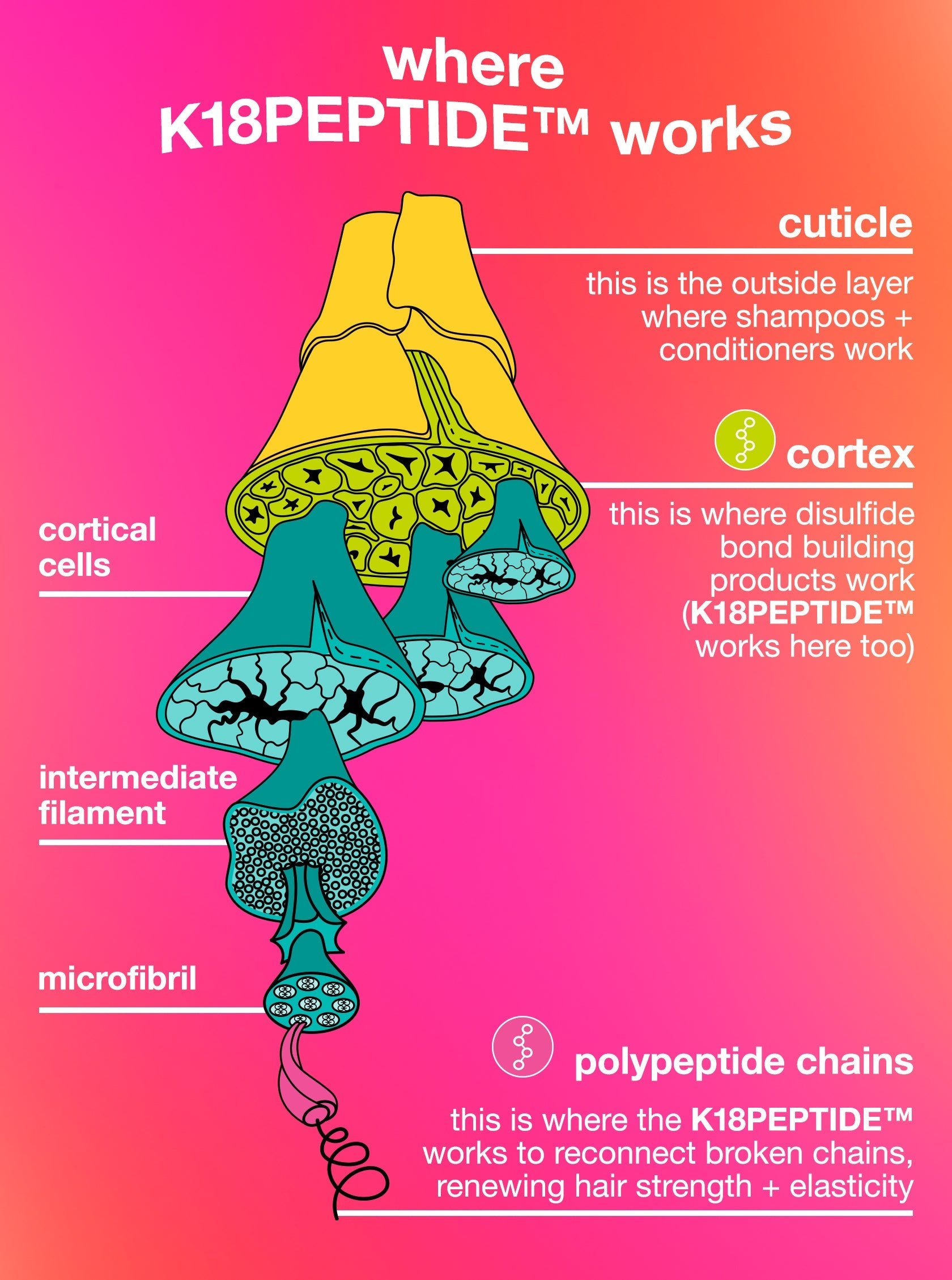 Healthy Volume Minis